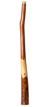 Wix Stix Didgeridoo (WS342)